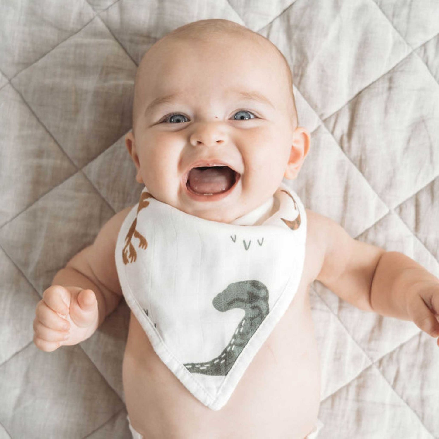 cotton muslin baby bib set, bandana bibs, dinosaur mustard baby bibs