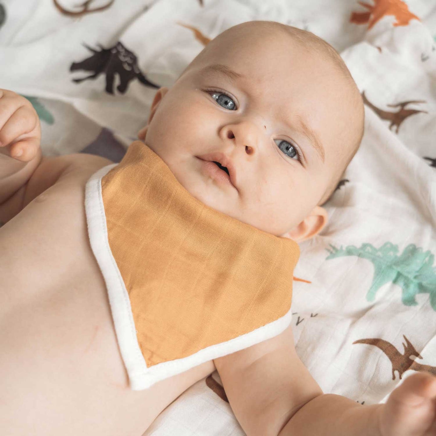cotton muslin baby bib set, bandana bibs, dinosaur mustard baby bibs