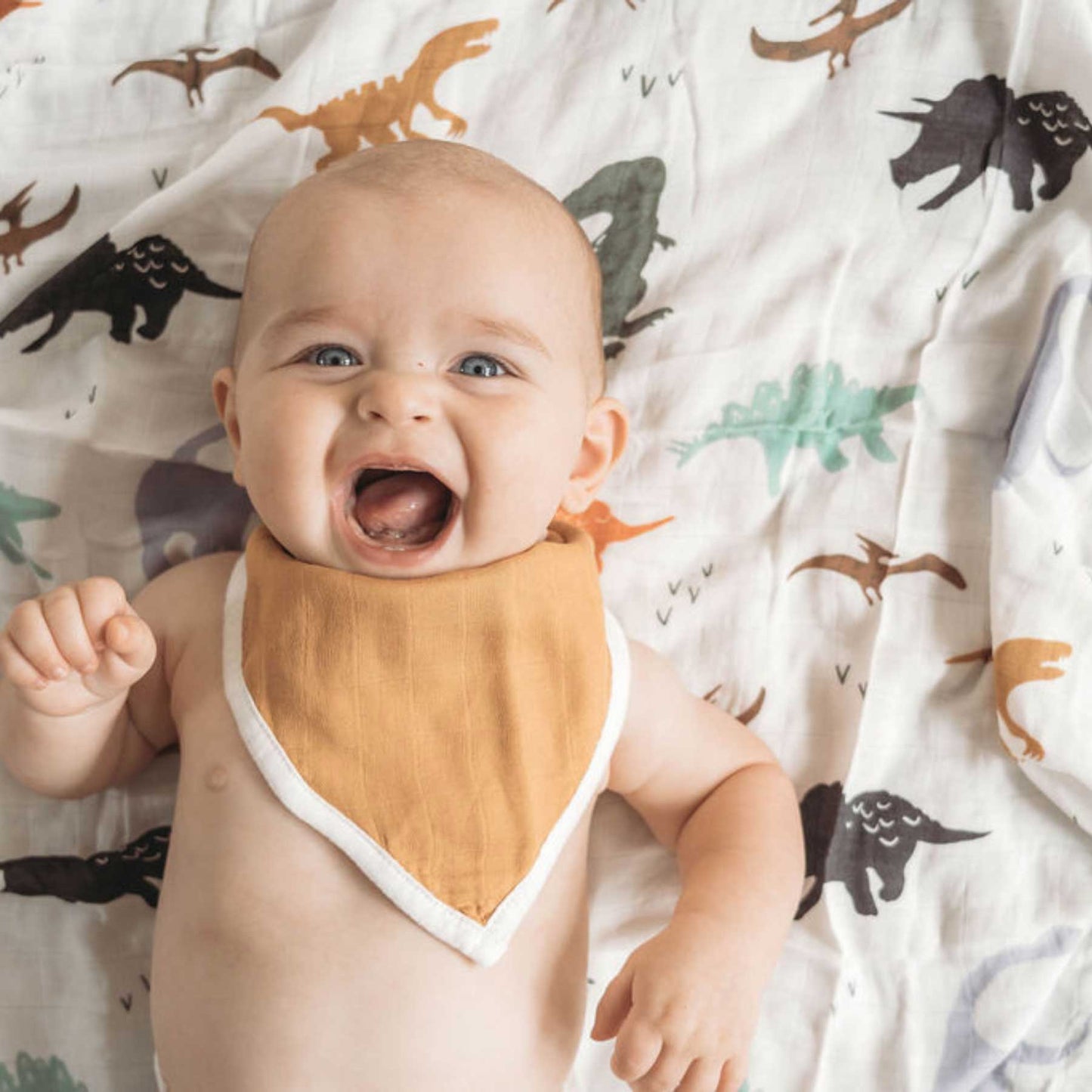 cotton muslin baby bib set, bandana bibs, dinosaur mustard baby bibs