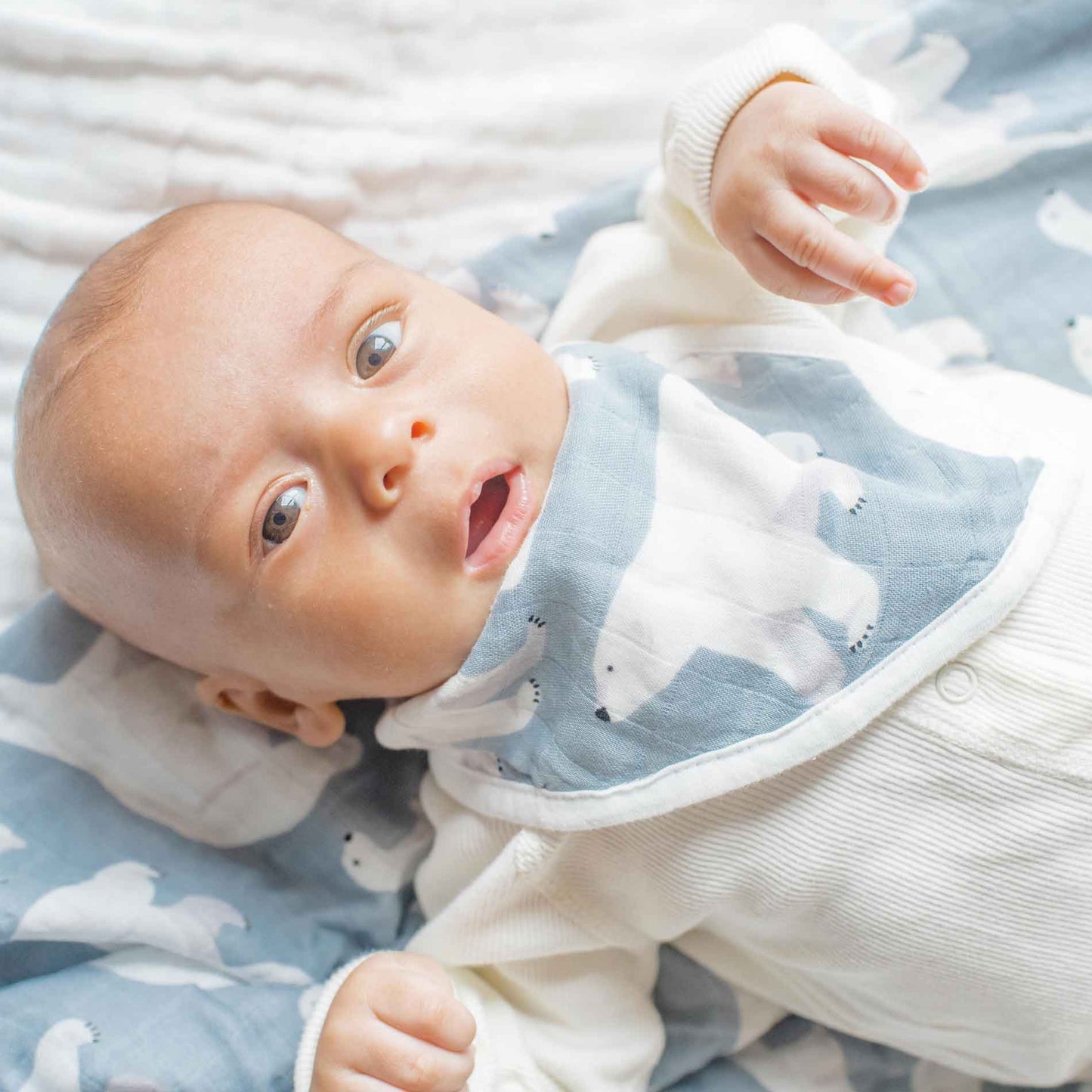 Muslin Bandana Bib 2-pack - Polar Bear