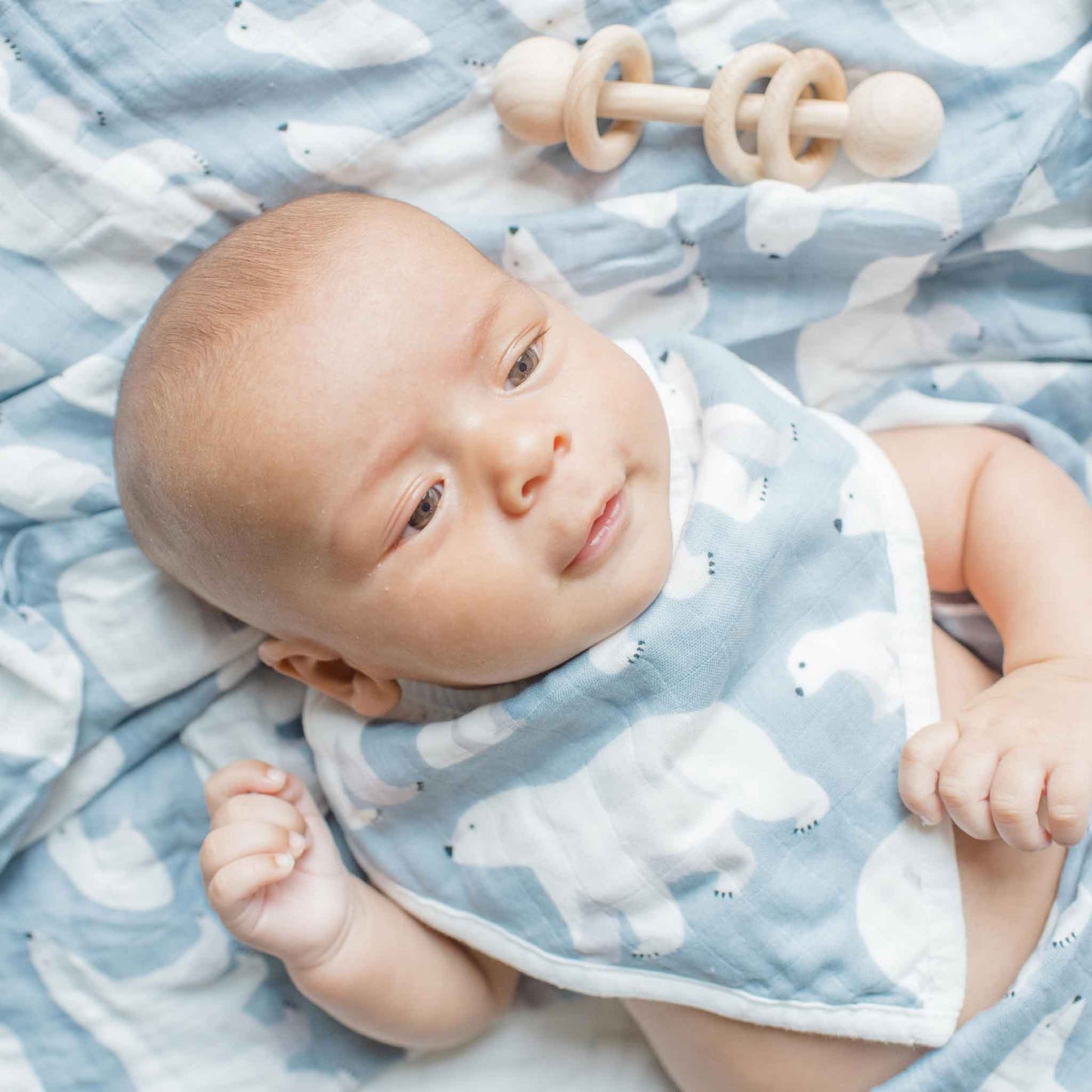 Muslin Bandana Bib 2-pack - Polar Bear