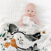 Muslin Swaddle | National Parks
