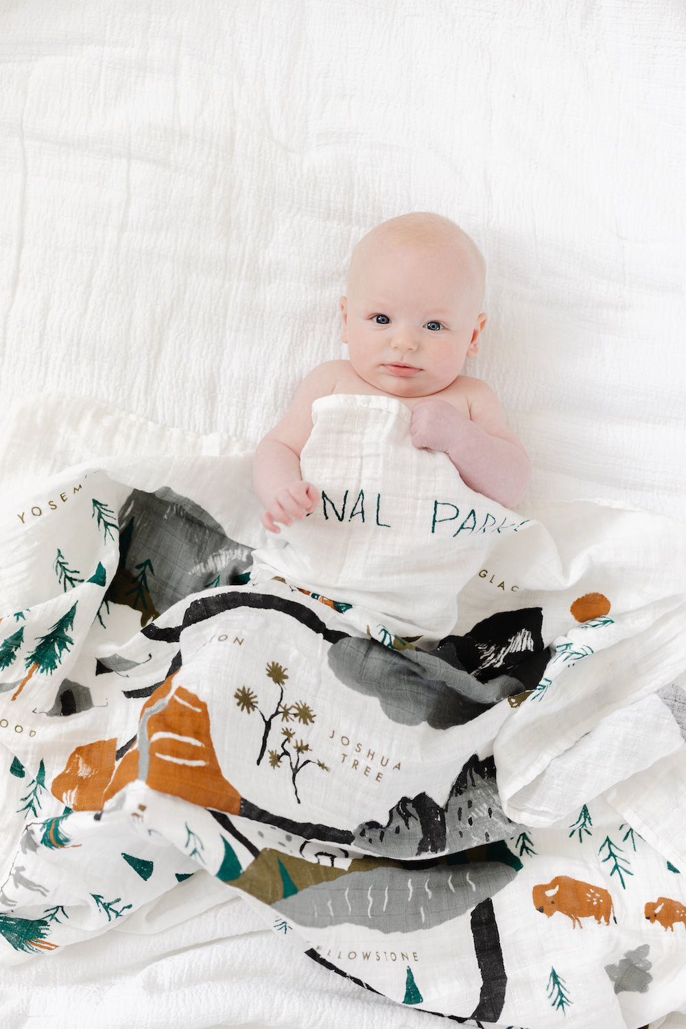 Muslin Swaddle | National Parks