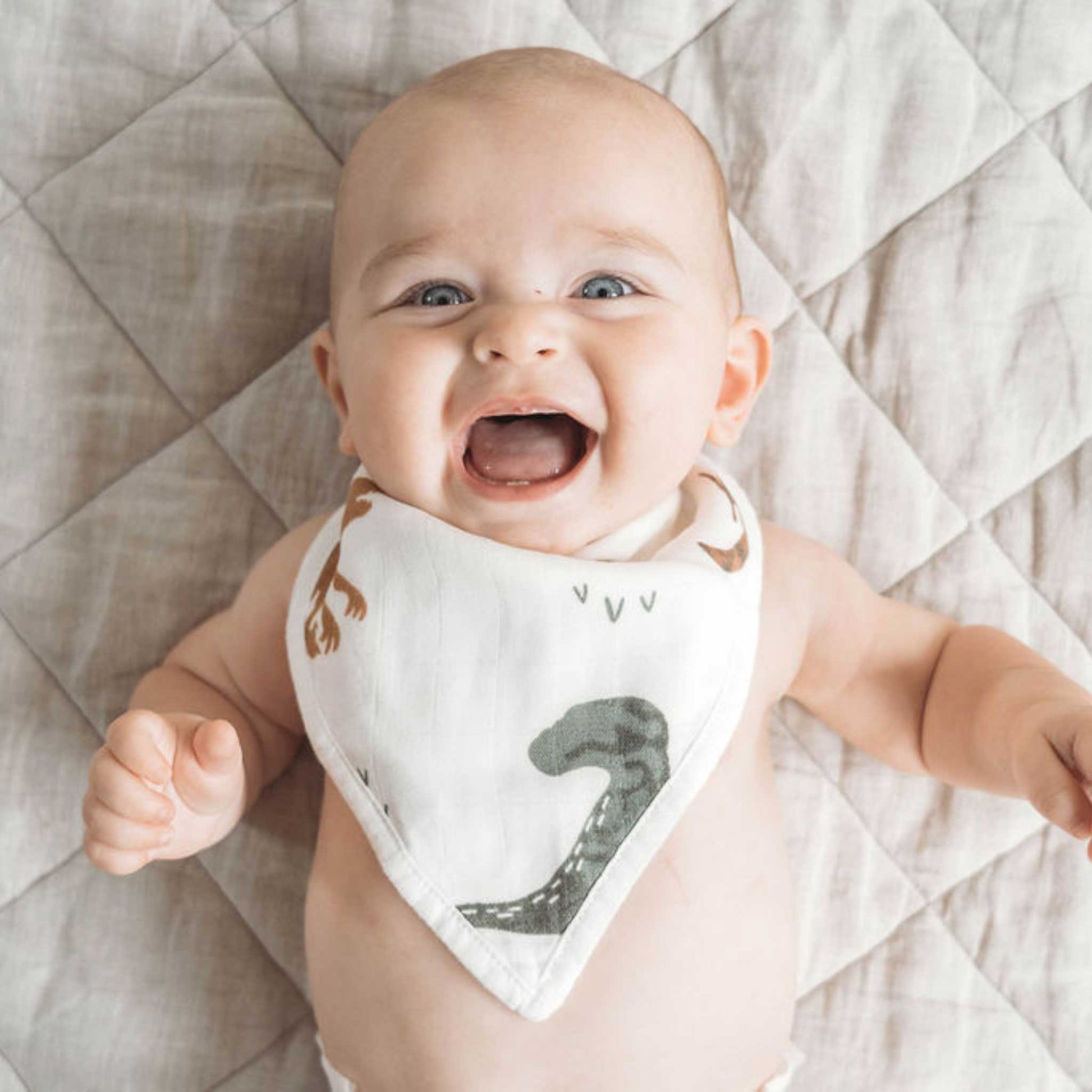 cotton muslin baby bib set, bandana bibs, dinosaur mustard baby bibs
