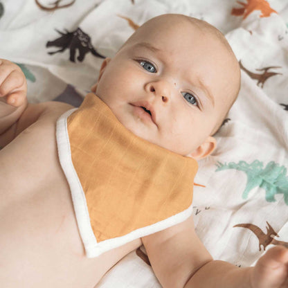 cotton muslin baby bib set, bandana bibs, dinosaur mustard baby bibs