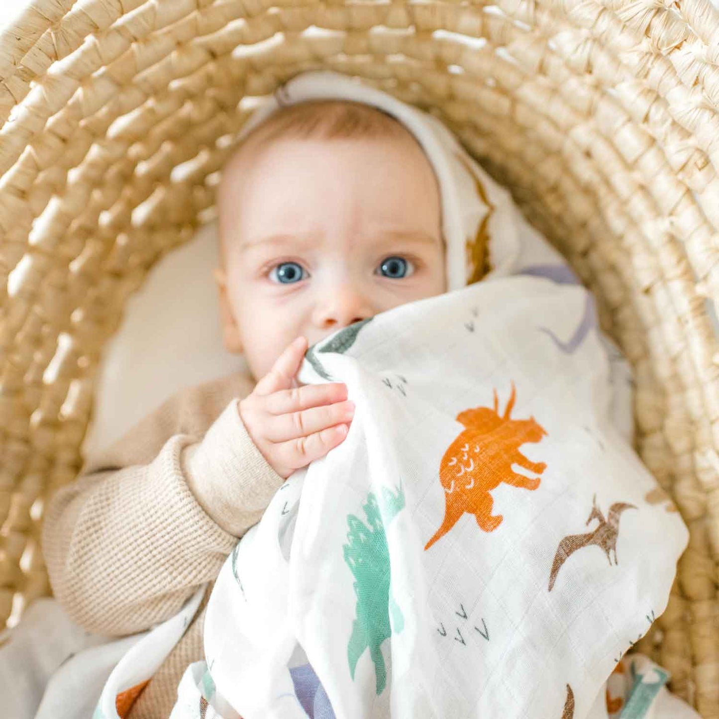 dinosaur baby swaddle, dino muslin blanket, baby boy swaddle, receiving blanket