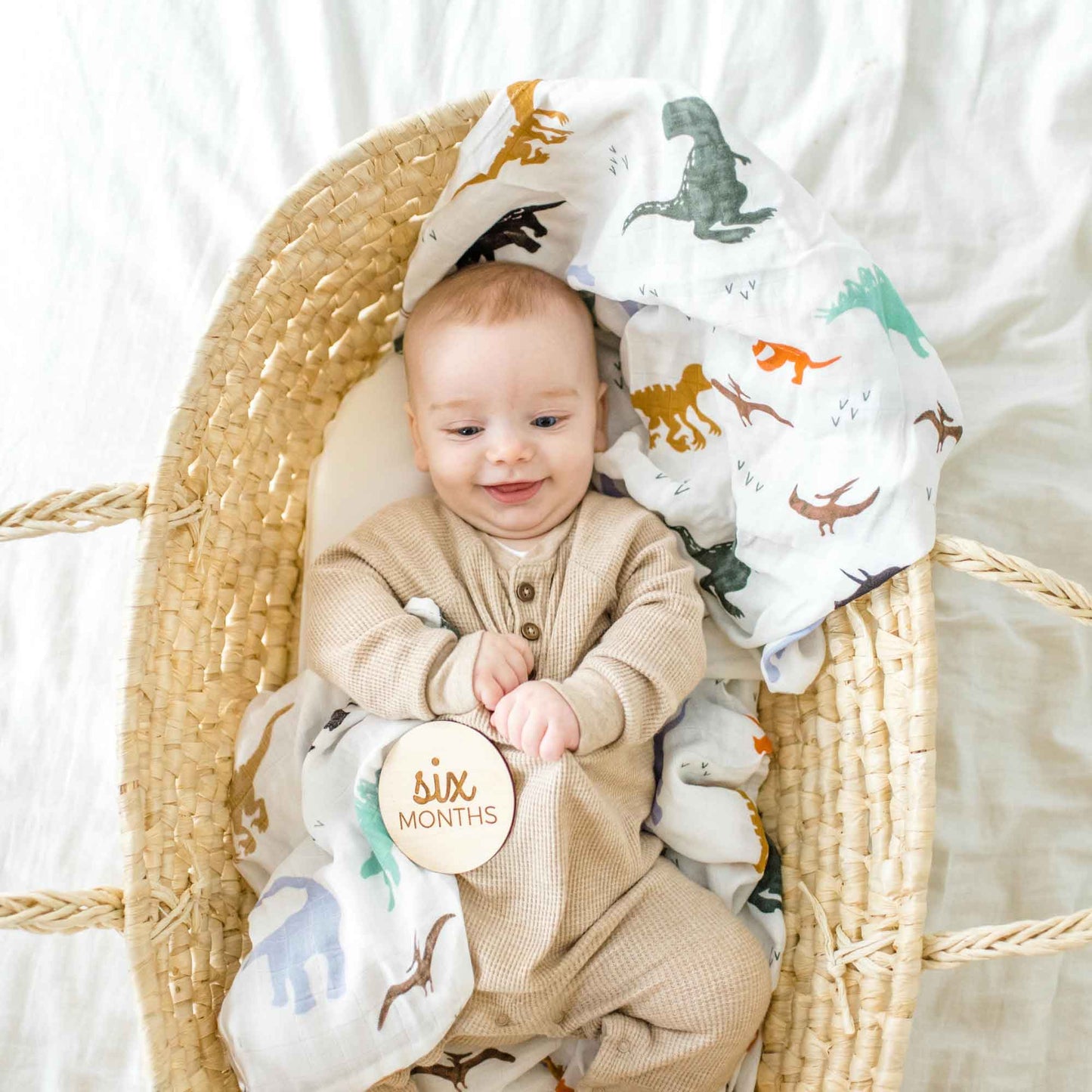 dinosaur baby swaddle, dino muslin blanket, baby boy swaddle, receiving blanket